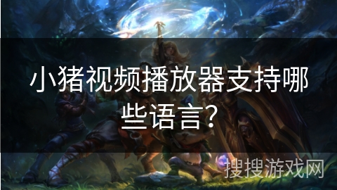 小猪视频播放器支持哪些语言? 小猪视频播放器支持哪些语言?