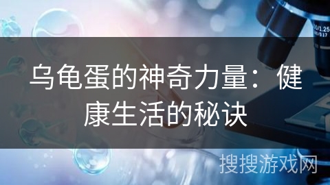 乌龟蛋的神奇力量:健康生活的秘诀 乌龟蛋的神奇力量:健康生活的秘诀
