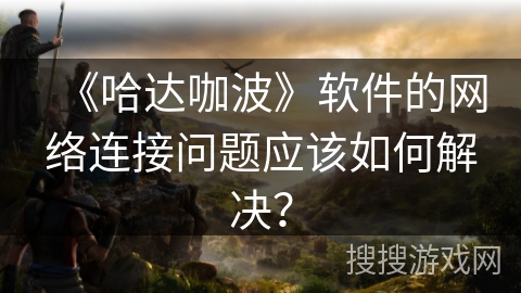 《哈达咖波》软件的网络连接问题应该如何解决？