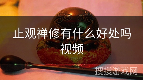 止观禅修有什么好处吗视频