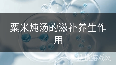 粟米炖汤的滋补养生作用