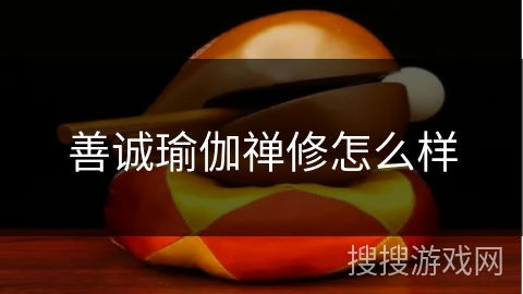 善诚瑜伽禅修怎么样