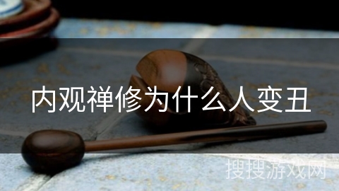 内观禅修为什么人变丑 内观禅修为什么人变丑