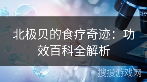 北极贝的食疗奇迹:功效百科全解析 北极贝的食疗奇迹:功效百科全解析