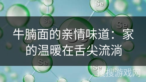 牛腩面的亲情味道：家的温暖在舌尖流淌