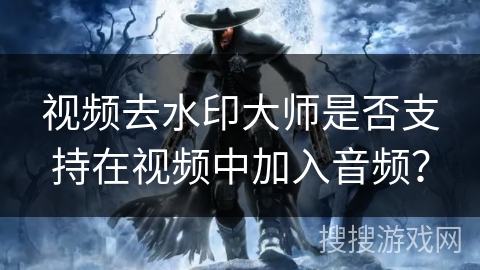 视频去水印大师是否支持在视频中加入音频? 视频去水印大师是否支持在视频中加入音频?