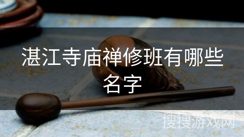 湛江寺庙禅修班有哪些名字