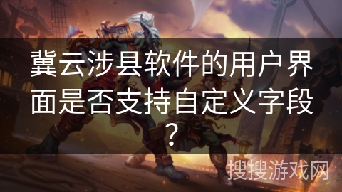 冀云涉县软件的用户界面是否支持自定义字段？