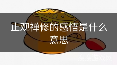 止观禅修的感悟是什么意思