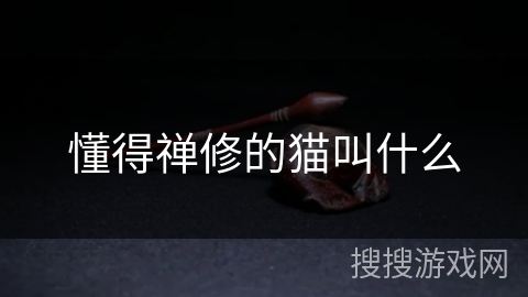 懂得禅修的猫叫什么 懂得禅修的猫叫什么