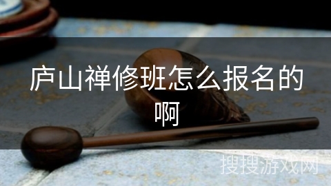 庐山禅修班怎么报名的啊