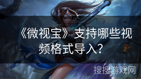 《微视宝》支持哪些视频格式导入？