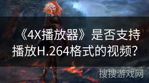 《4X播放器》是否支持播放H.264格式的视频？