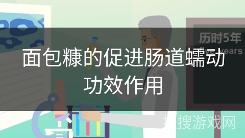 面包糠的促进肠道蠕动功效作用