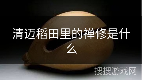 清迈稻田里的禅修是什么