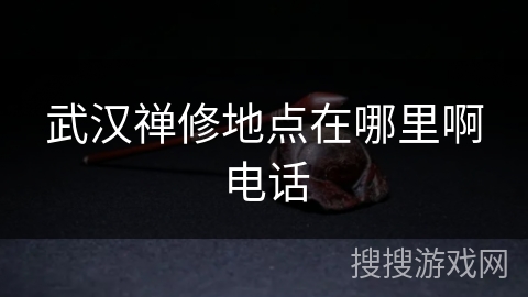 武汉禅修地点在哪里啊电话