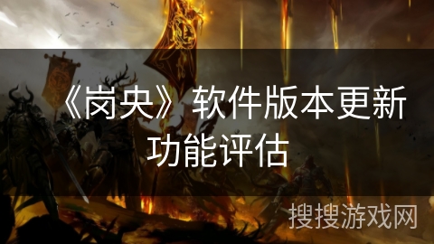 《岗央》软件版本更新功能评估