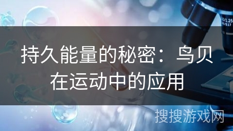 持久能量的秘密：鸟贝在运动中的应用
