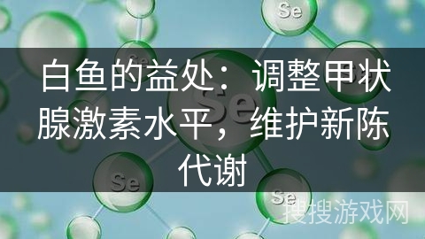 白鱼的益处：调整甲状腺激素水平，维护新陈代谢