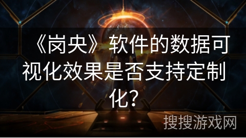 《岗央》软件的数据可视化效果是否支持定制化？