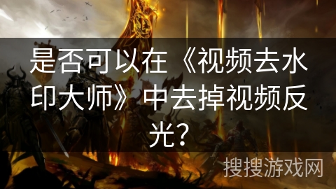 是否可以在《视频去水印大师》中去掉视频反光？