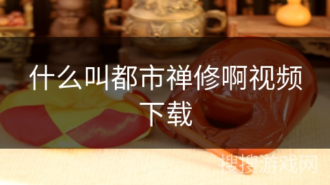 什么叫都市禅修啊视频下载