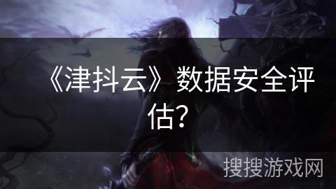 《津抖云》数据安全评估？