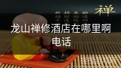 龙山禅修酒店在哪里啊电话