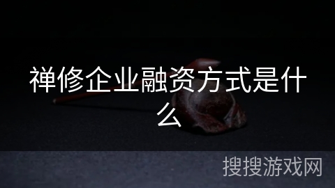 禅修企业融资方式是什么