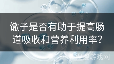 馓子是否有助于提高肠道吸收和营养利用率？