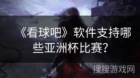 《看球吧》软件支持哪些亚洲杯比赛？