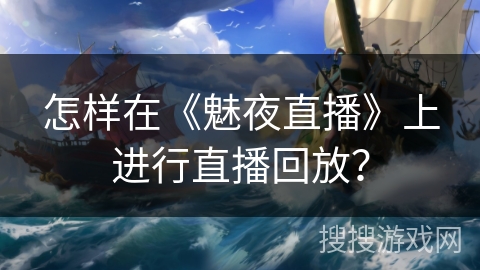 怎样在《魅夜直播》上进行直播回放？