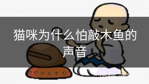 猫咪为什么怕敲木鱼的声音
