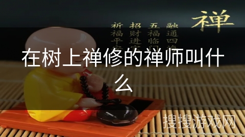 在树上禅修的禅师叫什么