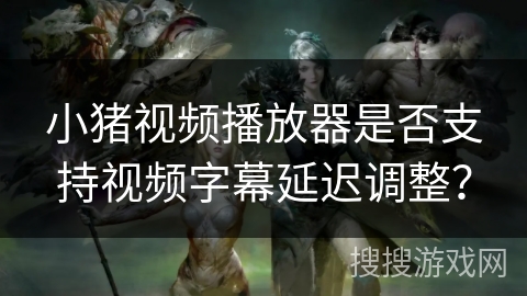 小猪视频播放器是否支持视频字幕延迟调整？