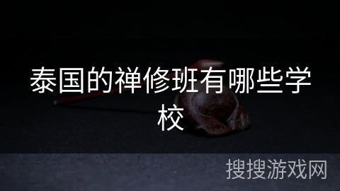 泰国的禅修班有哪些学校