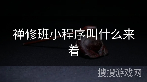 禅修班小程序叫什么来着