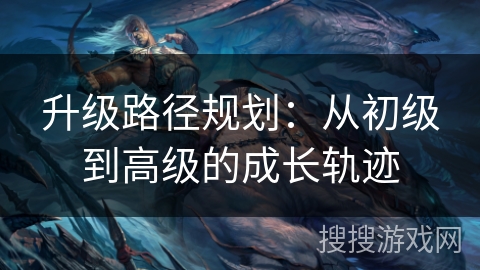 升级路径规划：从初级到高级的成长轨迹