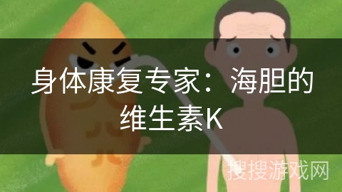 身体康复专家：海胆的维生素K