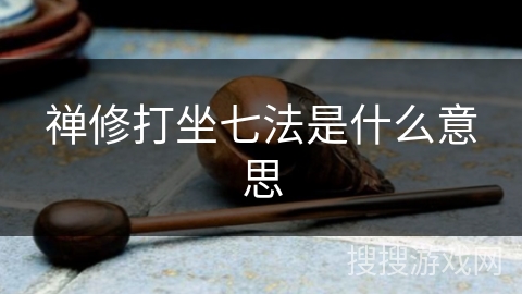 禅修打坐七法是什么意思