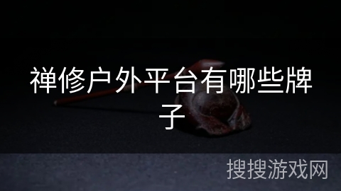 禅修户外平台有哪些牌子