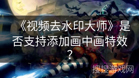 《视频去水印大师》是否支持添加画中画特效？