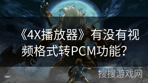 《4X播放器》有没有视频格式转PCM功能？