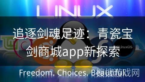 追逐剑魂足迹:青瓷宝剑商城app新探索