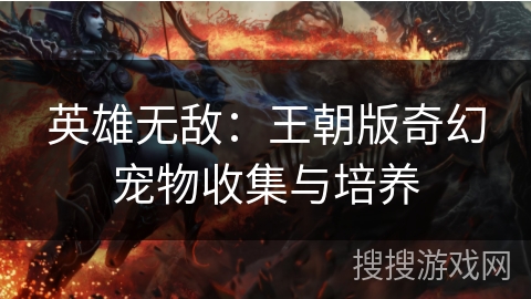 英雄无敌：王朝版奇幻宠物收集与培养