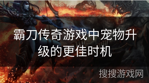 霸刀传奇游戏中宠物升级的更佳时机 霸刀传奇游戏中宠物升级的更佳时机