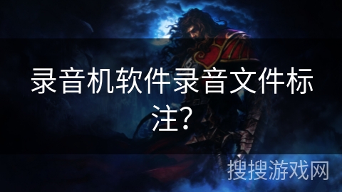 录音机软件录音文件标注？