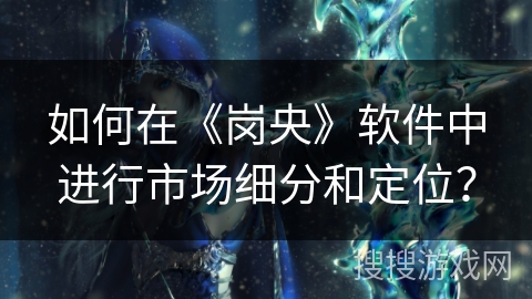 如何在《岗央》软件中进行市场细分和定位？