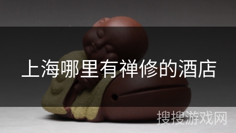 上海哪里有禅修的酒店