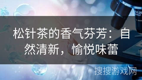 松针茶的香气芬芳：自然清新，愉悦味蕾